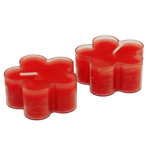 Floristik24 Blossom Light Ruby 12st