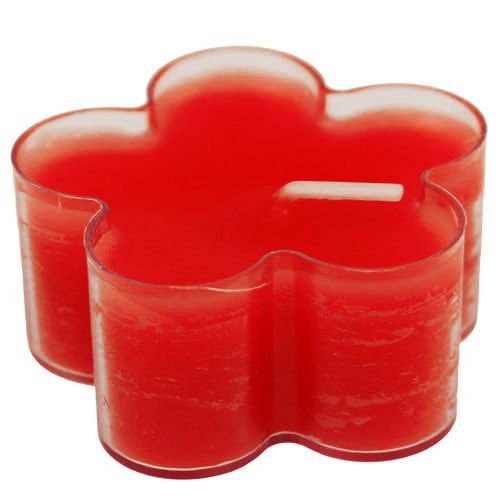 Floristik24 Blossom Light Ruby 12st