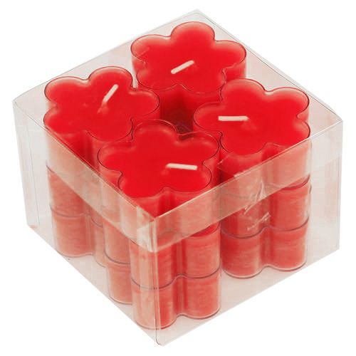 Floristik24 Blossom Light Ruby 12st