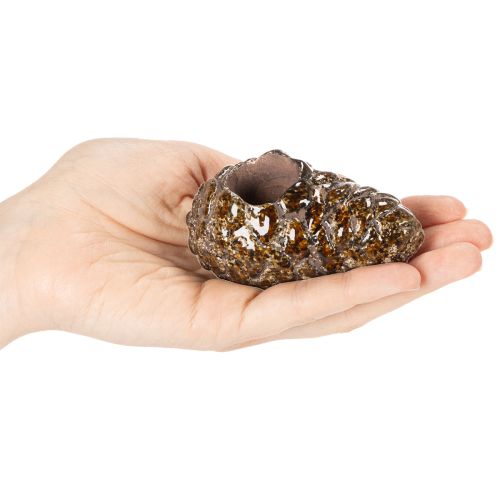 Värmeljushållare med kottemotiv, ljushållare, 8 cm, 3 st | Floristik24.se