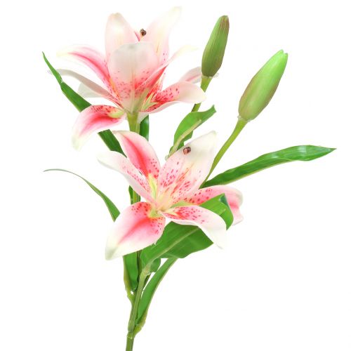 Floristik24 Tiger Lily Rosa, Vit 60cm