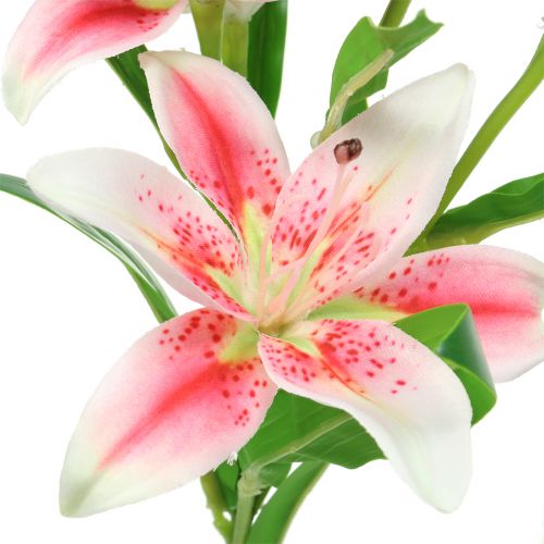 Floristik24 Tiger Lily Rosa, Vit 60cm