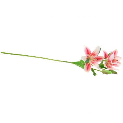Floristik24 Tiger Lily Rosa, Vit 60cm