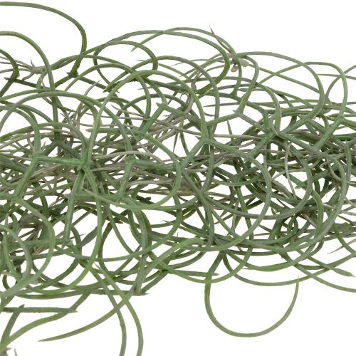 Floristik24 Tillandsia konstgrå 130cm