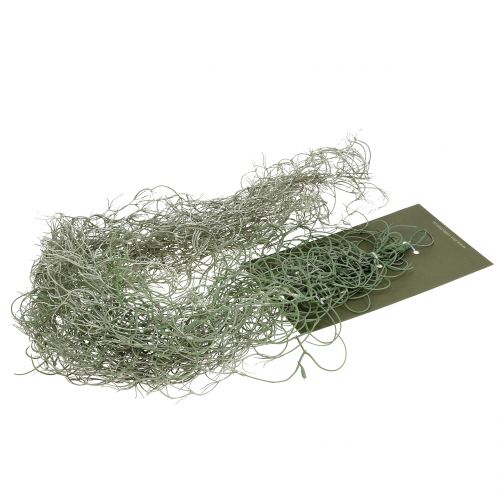 Floristik24 Tillandsia konstgrå 130cm