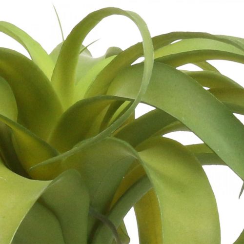 Floristik24 Tillandsia konstgjord att sticka ljusgrön konstgjord växt 30cm