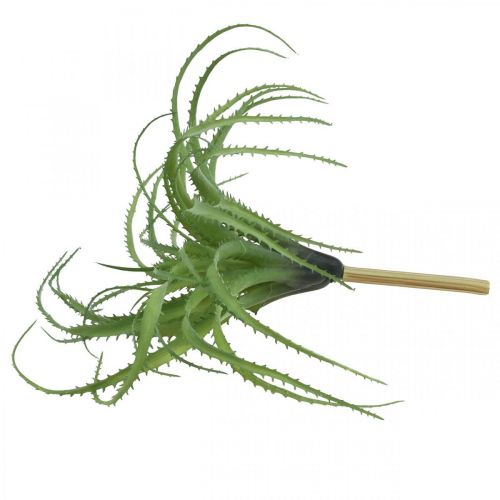 Floristik24 Aloe konstgjord grön konstgjord växt till stickgrön växt 38Øcm