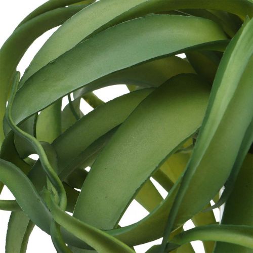 Artikel Tillandsia Konstgjord grön växt att sticka Stor Grön Ø40cm