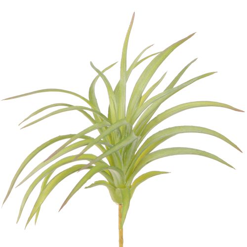 Tillandsia Gröna konstgjorda växter med pinne Ø17cm 3 st