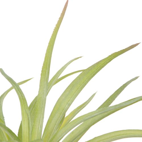 Artikel Tillandsia Gröna konstgjorda växter med pinne Ø17cm 3 st