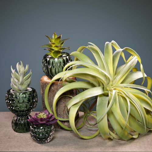 Floristik24 Tillandsia konstgjord att sticka ljusgrön konstgjord växt 30cm