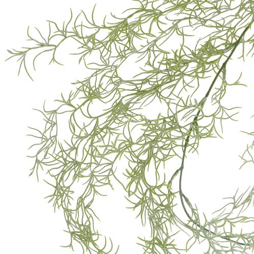 Floristik24 Tillandsia galge 160 cm