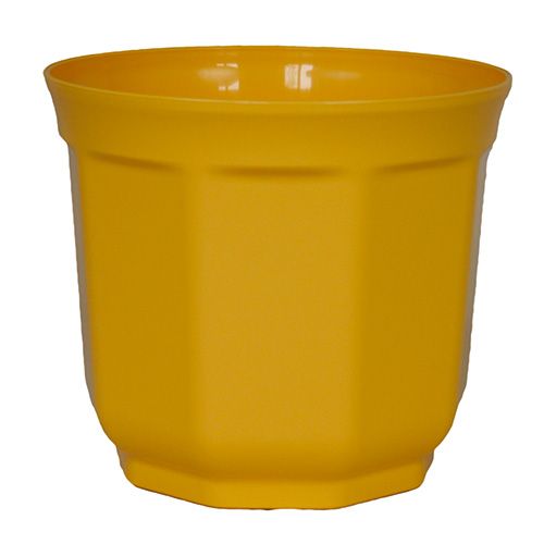 Floristik24 Planter Tino 13cm gul (10st.)