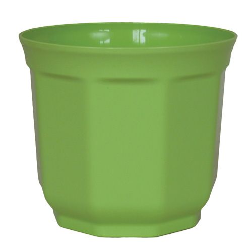 Floristik24 Tino planter limegrön