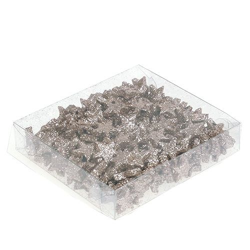 Floristik24 Bordsdekoration stjärna glimmer champagne 1,5 cm 144p