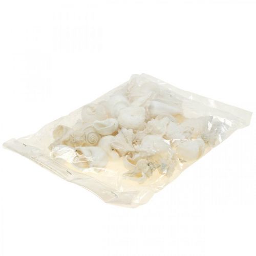 Floristik24 Bordsdekoration maritim, tomma snigelskal vit 4–5cm mix 500g