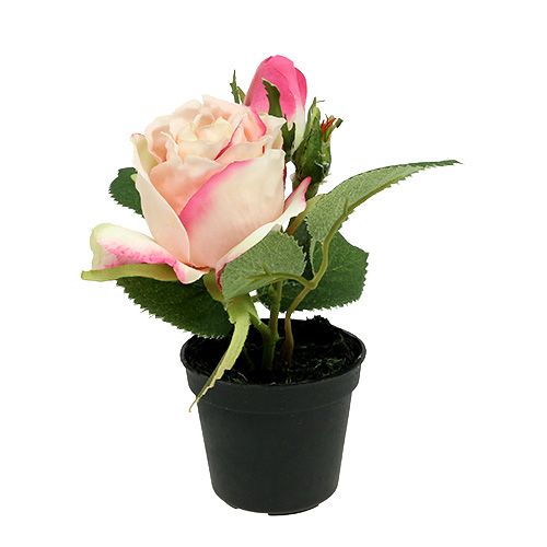 Floristik24 Borddekorationsrosa i kruka kräm 14cm