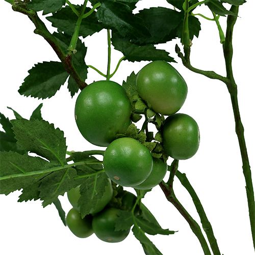 Floristik24 Tomatgren L60cm grön