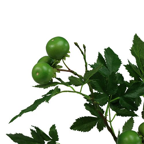 Floristik24 Tomatgren L60cm grön