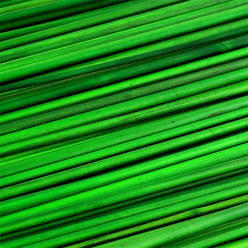 Floristik24 Tonkingrön 70cm 150p.