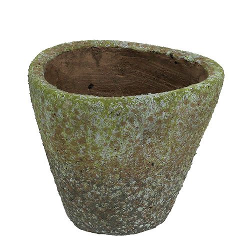 Floristik24 Kruka grå mossad Ø16cm H13.5cm 1p