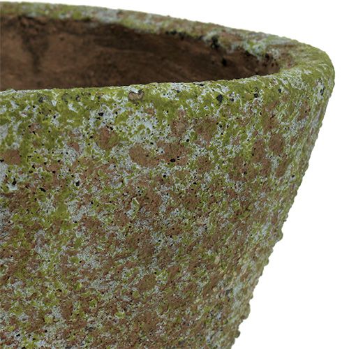 Floristik24 Kruka grå mossad Ø16cm H13.5cm 1p