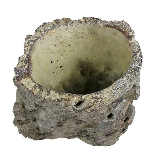 Floristik24 Kruka som trädstam Ø10,5cm H12cm 2st