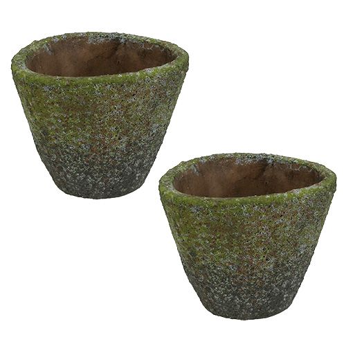 Floristik24 Kruka för plantering Ø12cm H11cm 2st