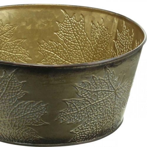 Floristik24 Höstskål, metallkruka med bladdekoration, gyllene växtkruka Ø25cm H10cm