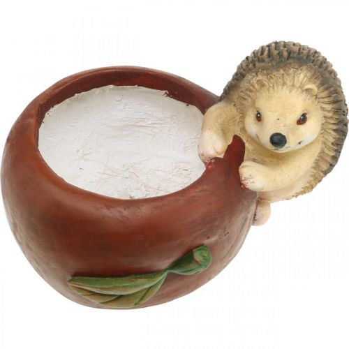Artikel Planteringskärl, äpple med igelkott, höstdekoration, cachepot, keramik Ø16cm H22cm B33cm