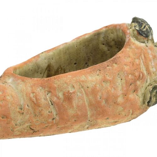 Artikel Dekorativ morot, betongdekor för plantering, påsk, morotskruka, vårdekoration L28cm