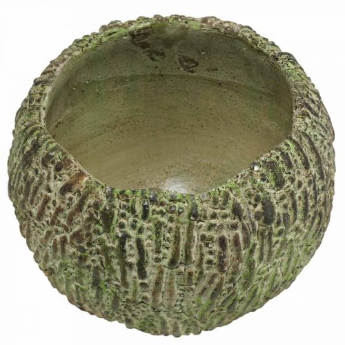Artikel Kruka i betong i antik utseende grön, brun växtkruka rund Ø15,5cm