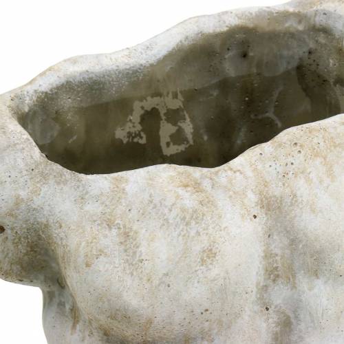 Floristik24 Växtkruka överkropp hane grå 19 × 13,5 cm H28cm
