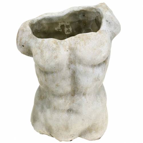 Floristik24 Växtkruka överkropp hane grå 19 × 13,5 cm H28cm