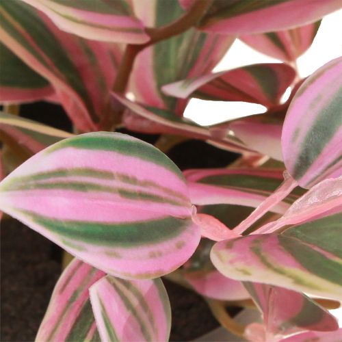 Artikel Tradescantia Konstgjord grön växt i kruka H19,5cm 2st