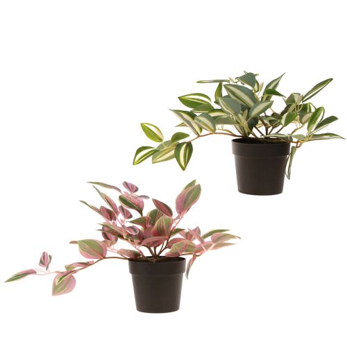 Artikel Tradescantia Konstgjord grön växt i kruka H19,5cm 2st