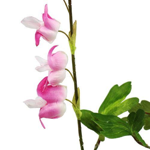 Floristik24 Blödande hjärta 91 cm ljusrosa 3st