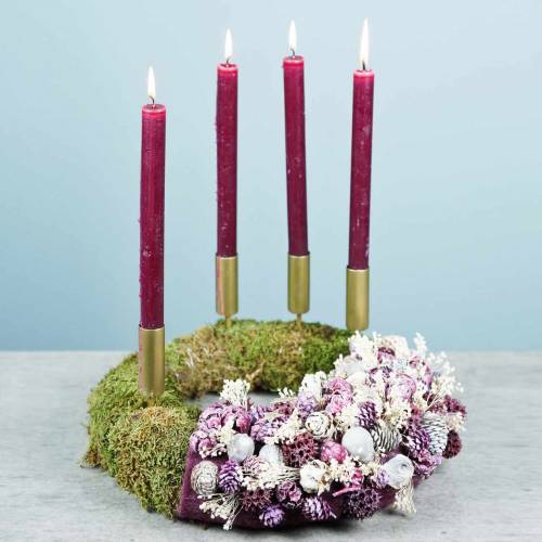Floristik24 Torkade blommor Broom Bloom Blekt 140g