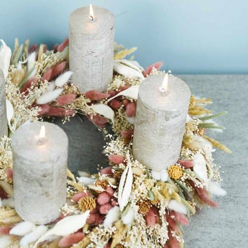 Floristik24 Torkad Blomma Lagurus Lampa Rengöring Gräs Blekt 100g