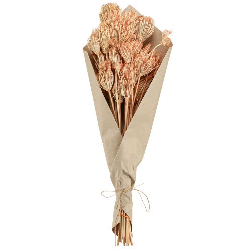 Artikel Torkade blommor dekoration fänkål lax L50cm Ø4-5cm 100g