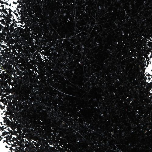Artikel Torkad blomsterkrans svart metallic Lepidium Ø33cm