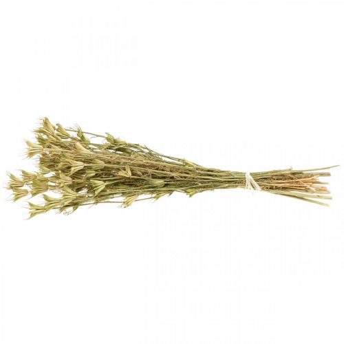 Floristik24 Torkade blommor svart spiskummin dekoration natur Nigella 50cm 75g