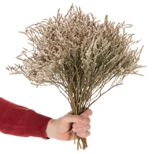 Torkad strandlavendelbukett Statice natur 1kg | Floristik24.se