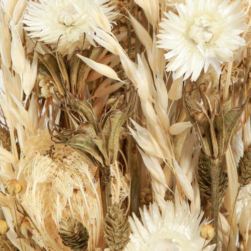 Artikel Torkade blommor vitguld med mössa blommor Phalaris 30cm 200g