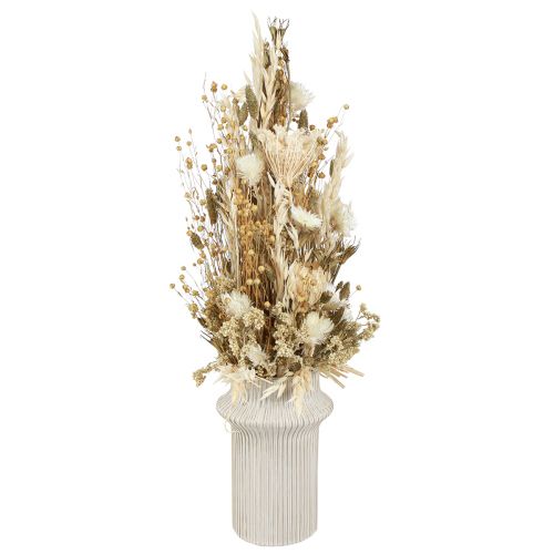 Floristik24 Torkade blommor vitguld med mössa blommor Phalaris 30cm 200g