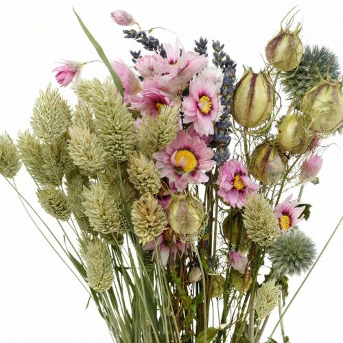 Floristik24 Vildgräsbukett med stråblommor torrblommor 70g