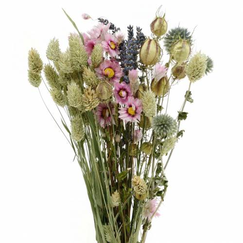 Floristik24 Vildgräsbukett med stråblommor torrblommor 70g