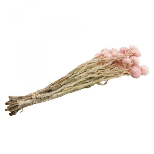 Artikel Torkade blommor keps blommor rosa halmblommor H42cm