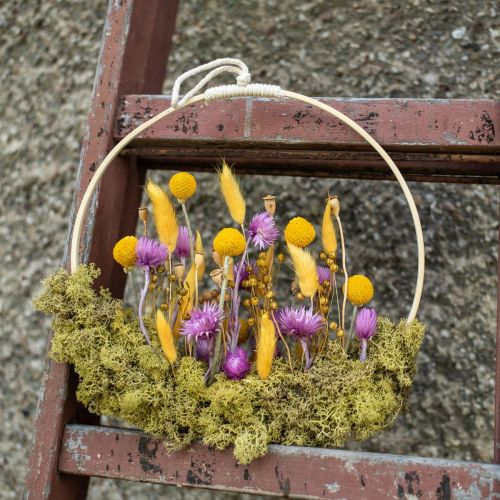 Artikel Torkade blommor Kepsblommor Lila halmblommor H42cm