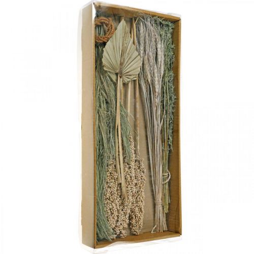 Floristik24 Torkade blommor exotisk vit-natur mix, torr flora mix